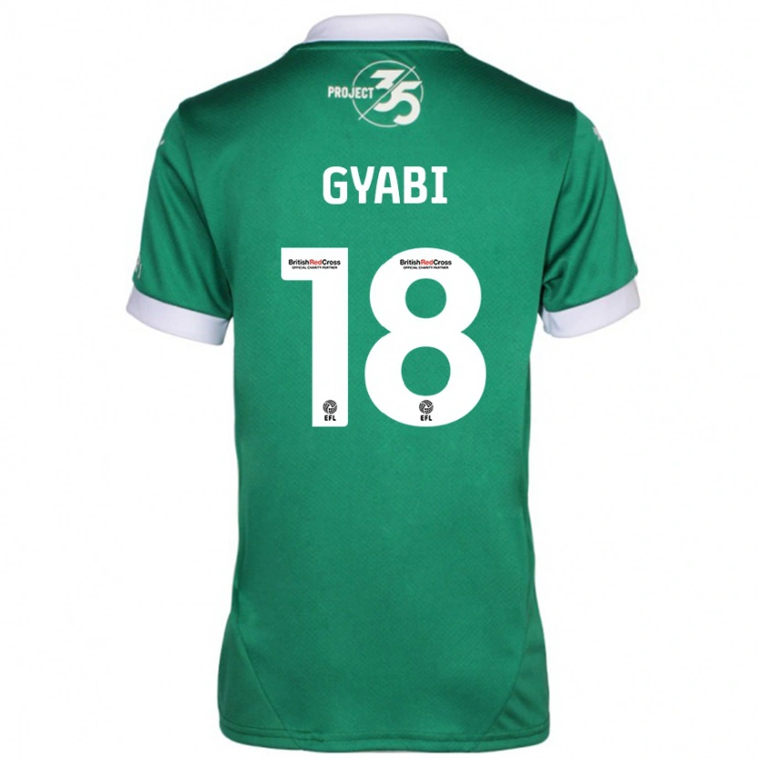 Danxen Damen Darko Gyabi #18 Grün Weiß Heimtrikot Trikot 2024/25 T-Shirt