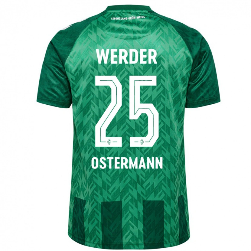 Danxen Kinder Ben Ostermann #25 Grün Heimtrikot Trikot 2024/25 T-Shirt