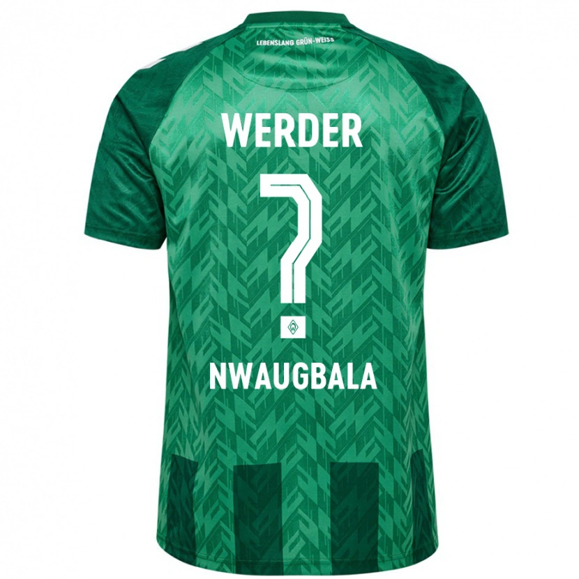 Danxen Herren Kevin Nwaugbala #0 Grün Heimtrikot Trikot 2024/25 T-Shirt